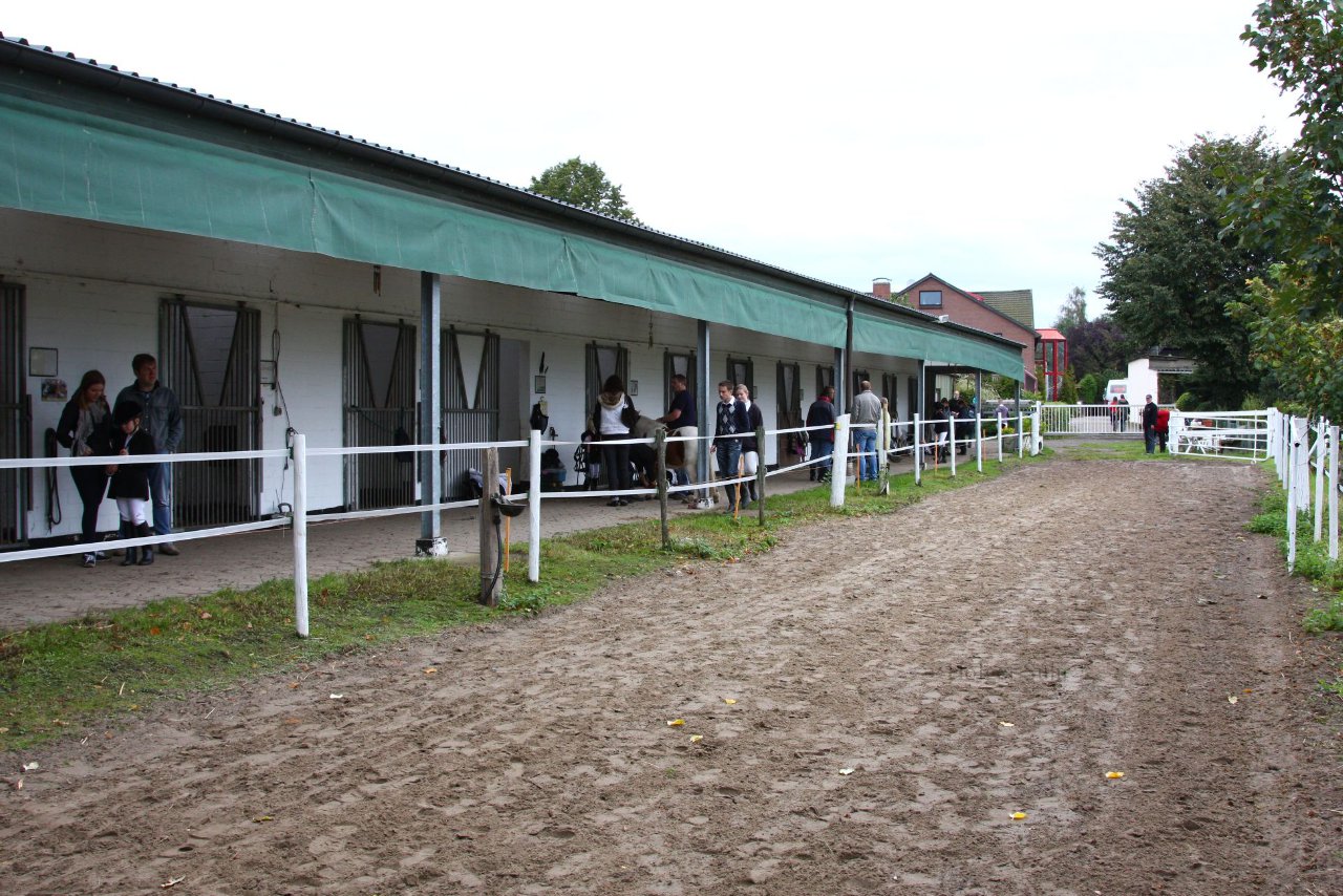 Bild 744 - WBO-Turnier am 18.9.11
